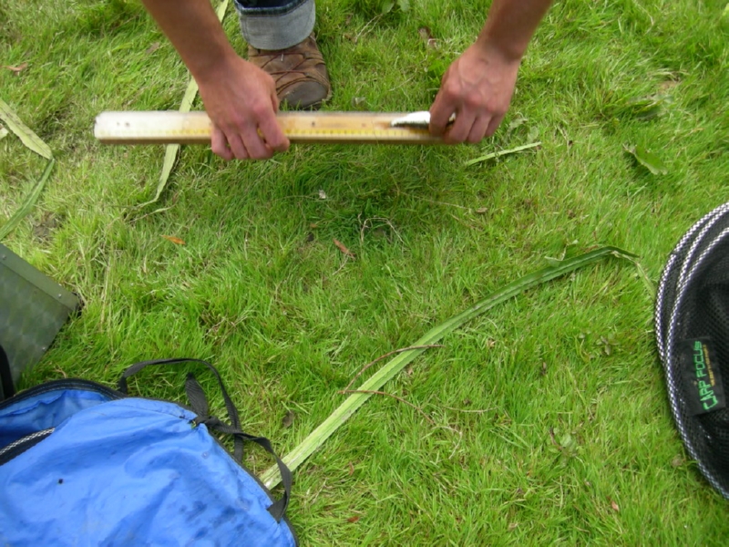 Lith 2008 (132)